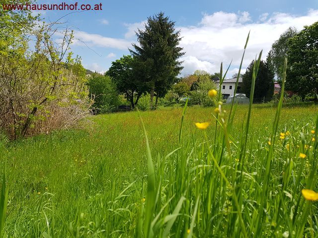 Stroheim: Ruhig gelegenes Baugrundstück "OHNE BAUZWANG" in Stroheim 