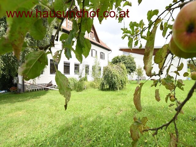 St. Martin in Mühlkreis: Viele Optionen unter einem Dach! Wohnobjekt mit Halle in St. Martin im Mühlkreis!  