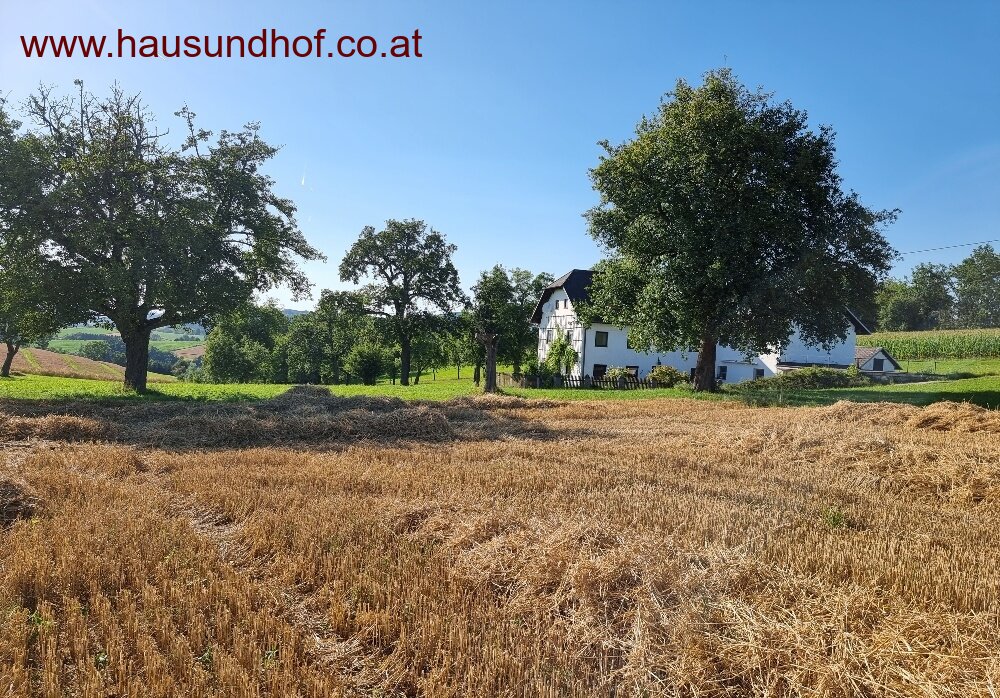 Walding: RARITÄT - Sacherl mit 2 ha arrondiertem Grund in bester Lage  