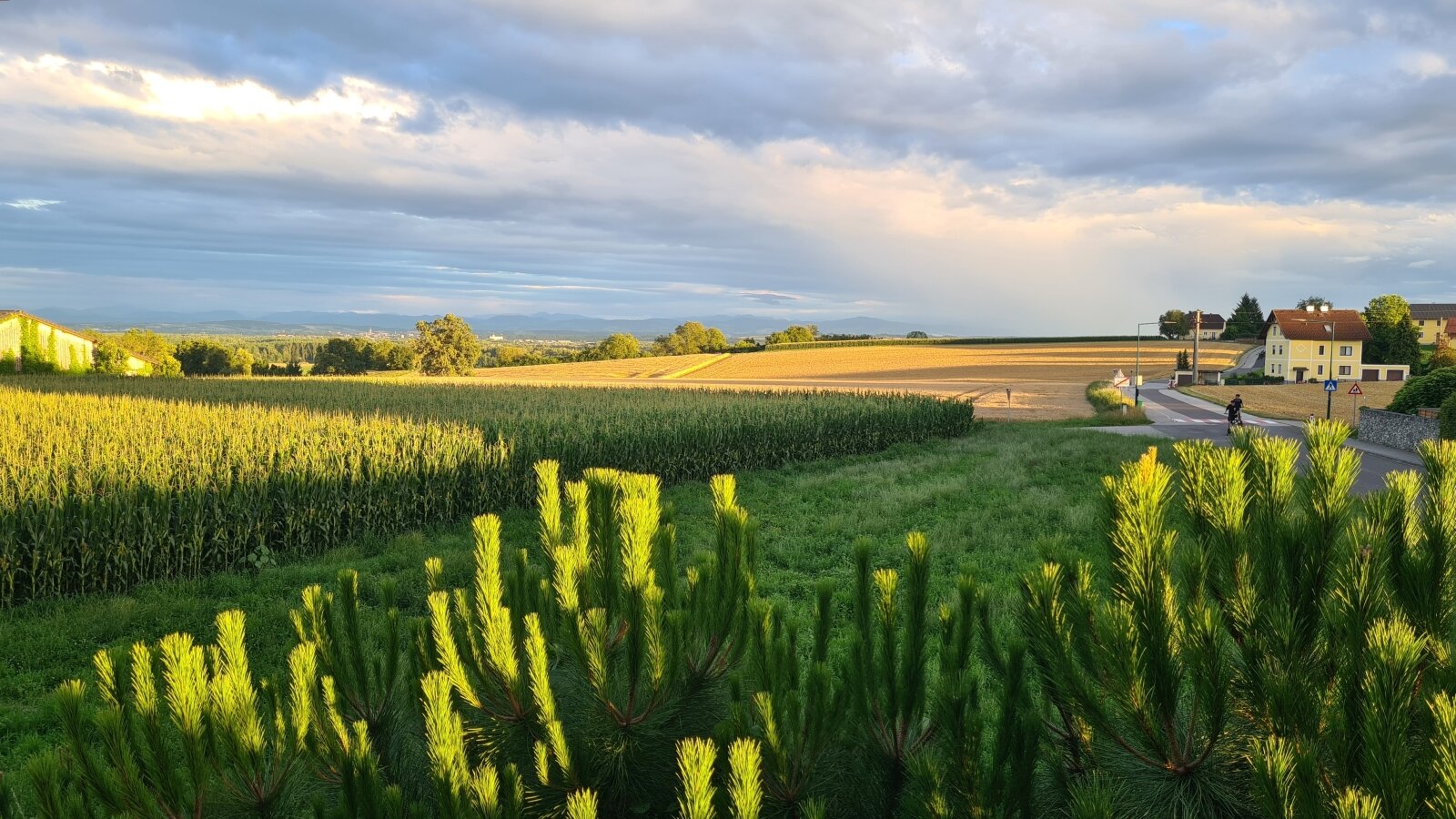 Naturnah und stadtnah: Haushälfte mit Ausblick, Garten & Pool – 15 Min. nach Linz!