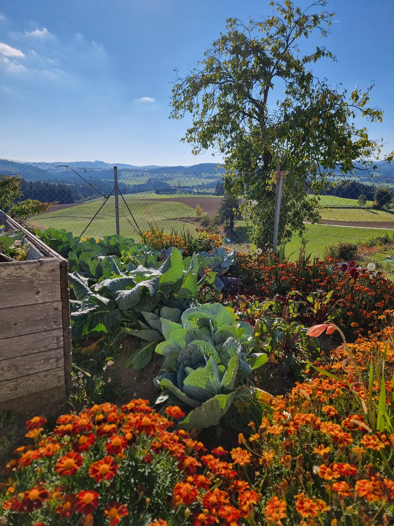 Traditioneller Bauernhof in sonniger Dorfrandlage von Arnreit – rund 24 ha Grund, herrliche Fernsicht und Nähe zu Rohrbach