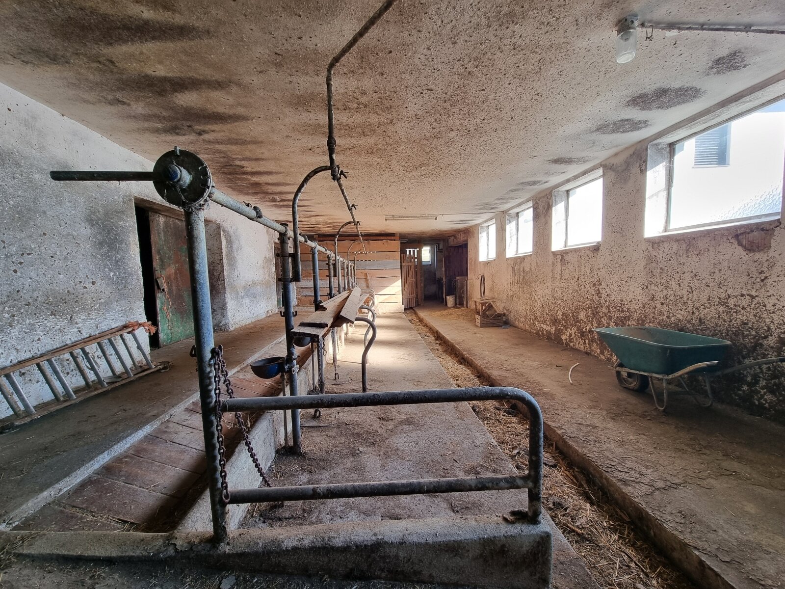 Traditioneller Bauernhof in sonniger Dorfrandlage von Arnreit – rund 24 ha Grund, herrliche Fernsicht und Nähe zu Rohrbach