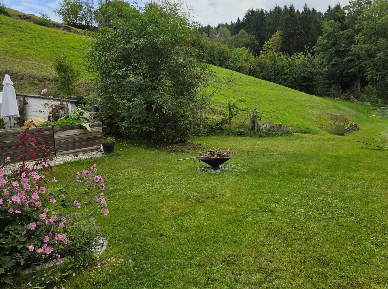 Paradies für Naturliebhaber - charmantes Landhaus auf 6500m² Grund