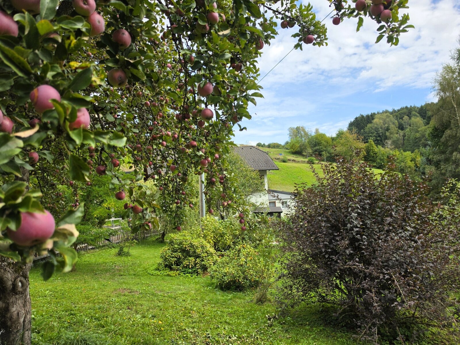 Paradies für Naturliebhaber - charmantes Landhaus auf 6500m² Grund