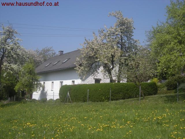 Ried in der Riedmark: Teilrenoviertes Landhaus 