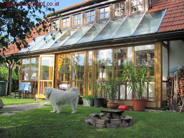 Rohrbach: Schönes, zentrales Einfamilienhaus in Rohrbach 