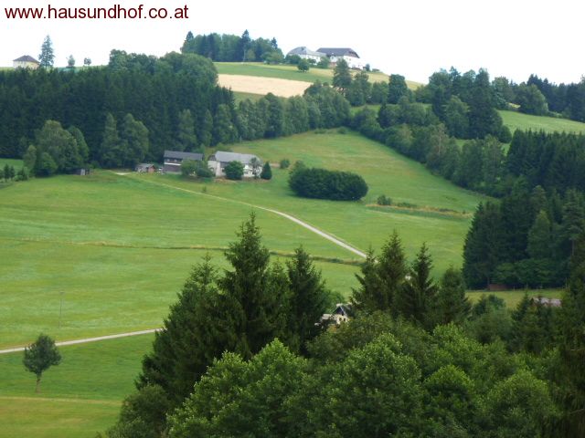 Vorderweißenbach: Sacherl in Alleinlage mit 6 ha arrondiertem Grund und Fischteich 