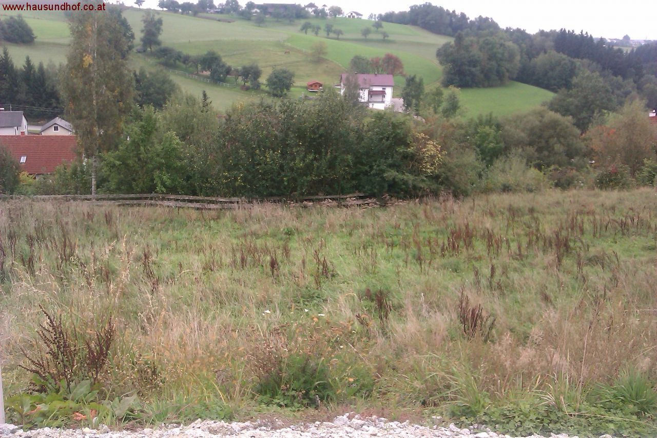 St. Martin im Mühlkreis: Baugrundstück voll aufgeschlossen, Sackgassenlage!  