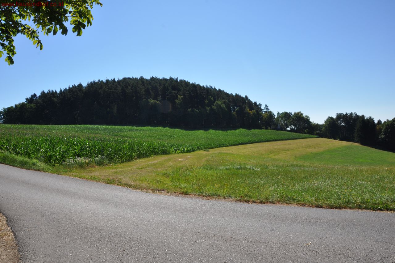 Alberndorf: Landwirtschaftliches Grundstück 
