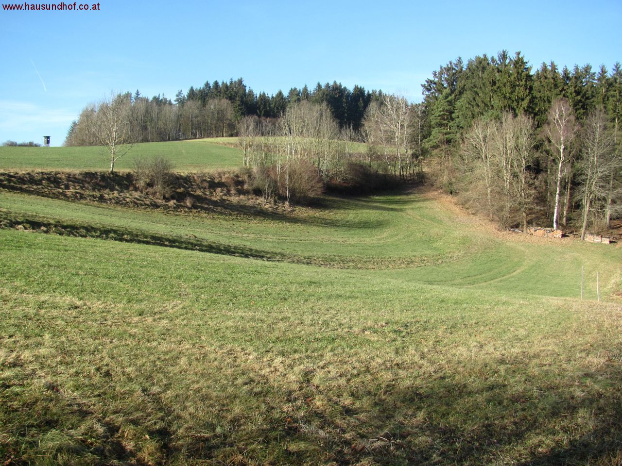 Altenfelden: Großes Baugrundstück in ruhiger Lage - voll aufgeschlossen 