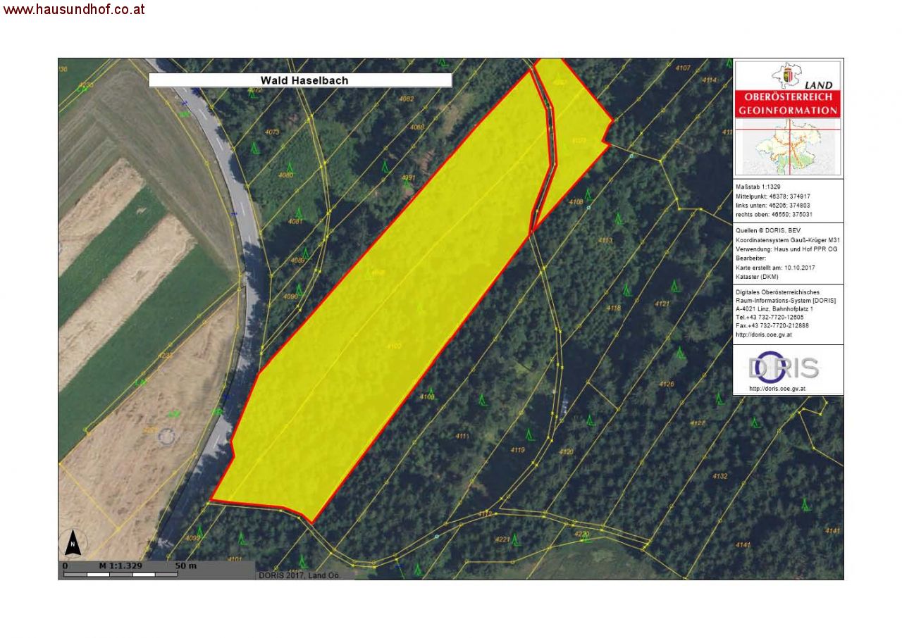 Altenfelden: Schönes, ebenes Waldgrundstück mit 30-jährigem Bestand 