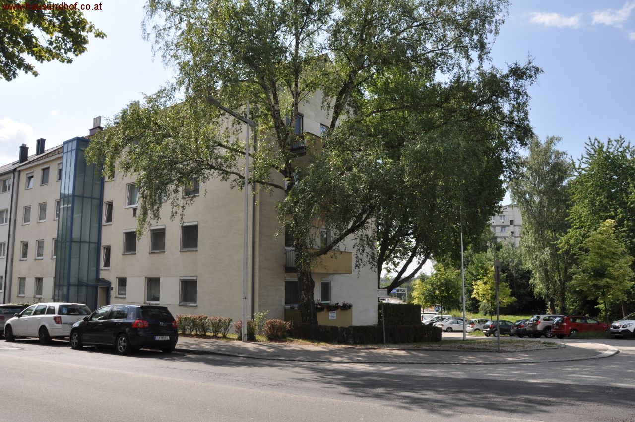 Linz: 132 m² Nutzfläche am Froschberg - 6 Zimmer  