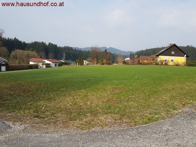 Vorderweißenbach: Eckgrundstück mitten im Grünen, 30 Autominuten nach Linz/Urfahr 