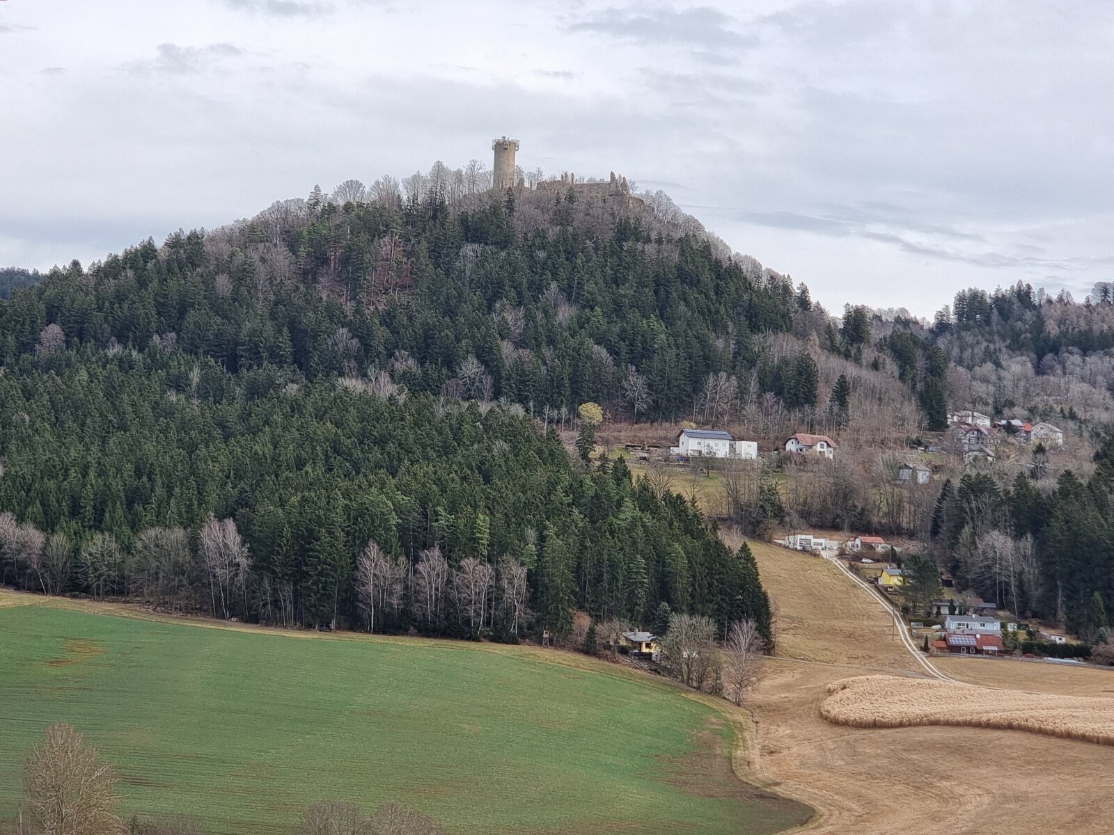  Blick aus der Küche 