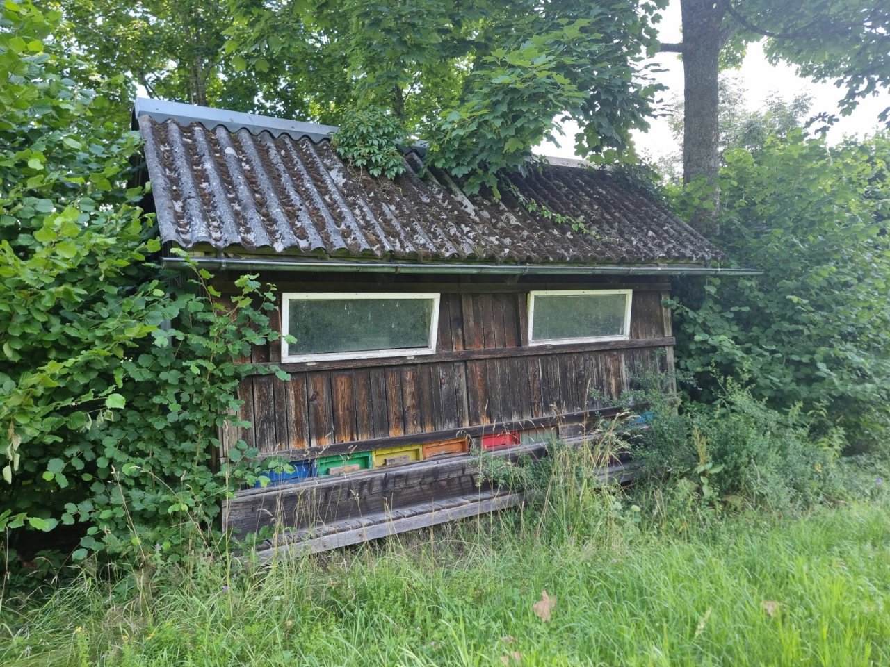  Bienenhütte