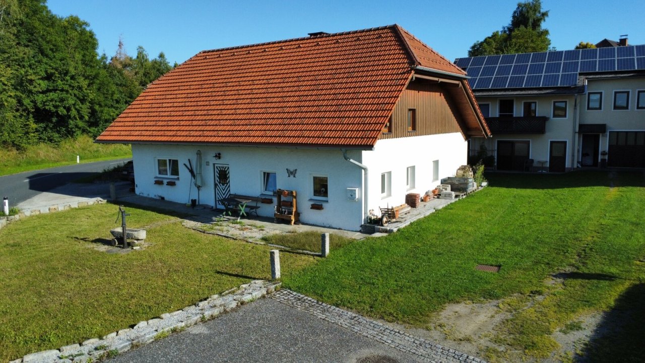 dji fly     photo optimized