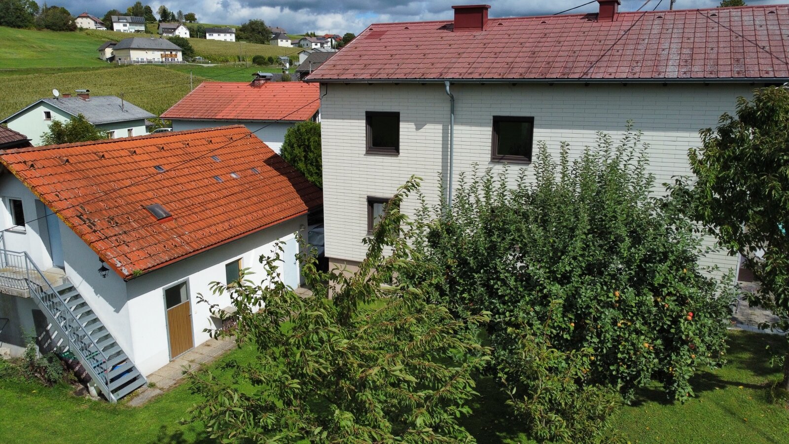 dji fly photo optimized dji fly photo optimized