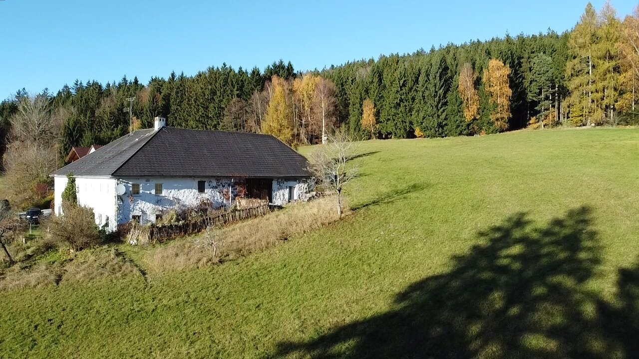 dji fly     photo low quality