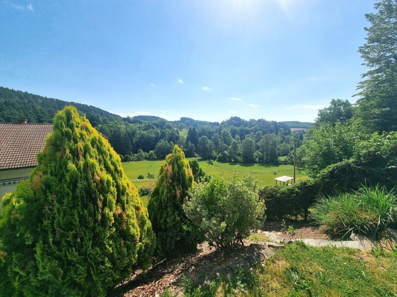 Ausblick Untergeschoss Garten Ausblick Untergeschoss Garten