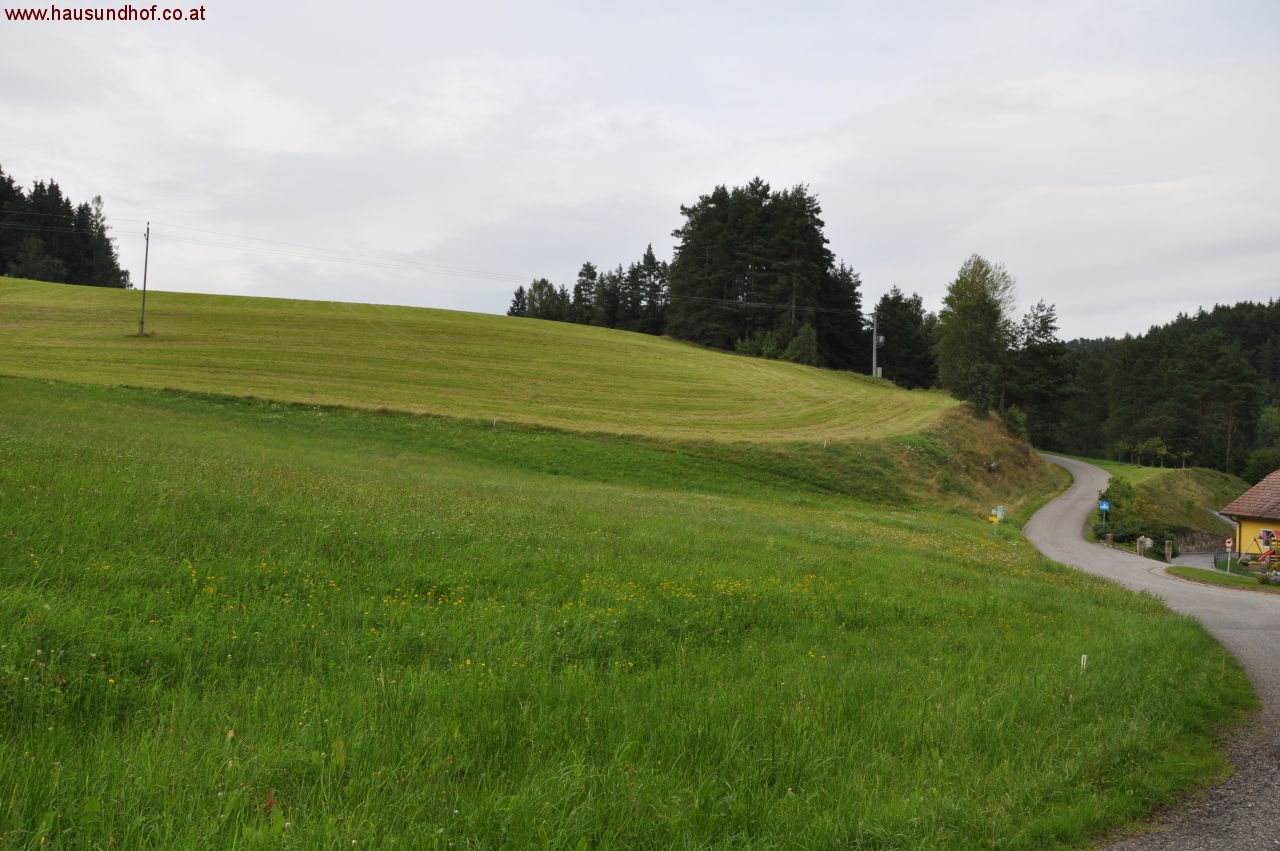 Traberg: Supertolles Grundstück mit Zupachtoption von landwirtschaftlichem Grund 