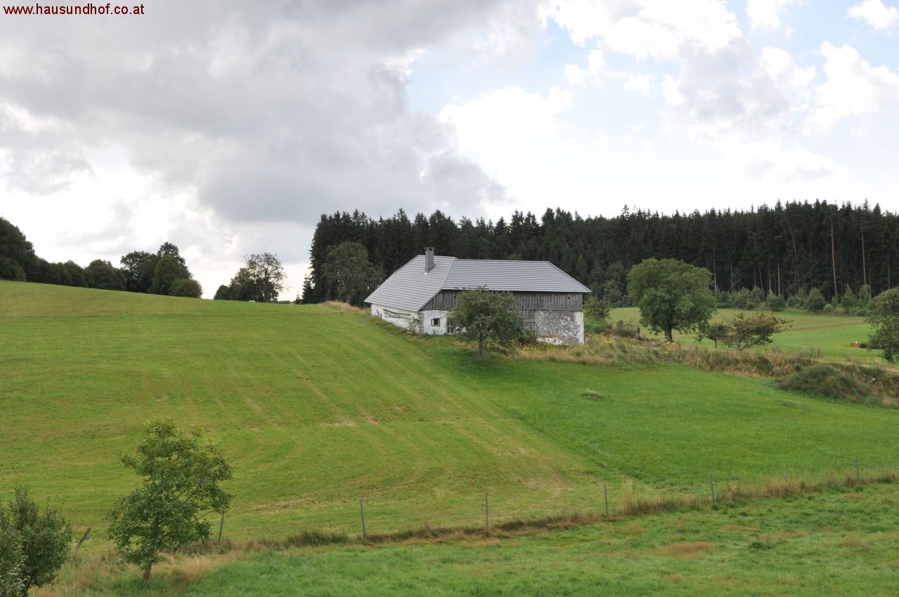 Alberndorf in der Riedmark: Sacherl 15 km von Linz-Urfahr in toller Lage mit 8600 m² Grund 