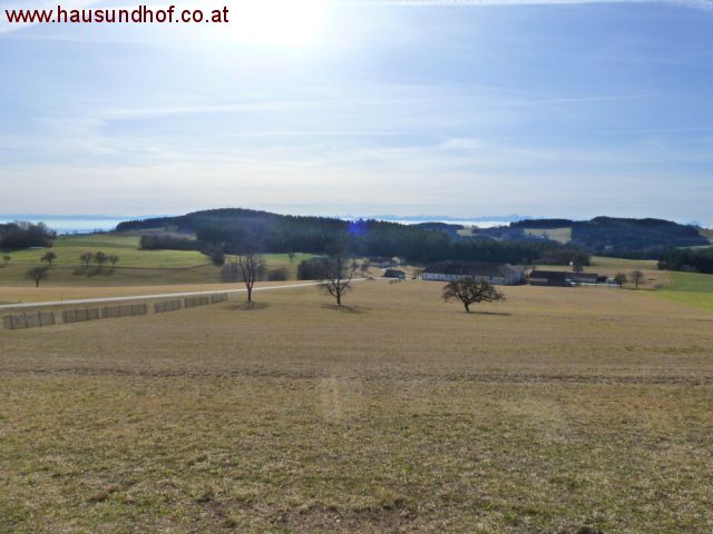 Alberndorf: 15 km Linz-Dornach - Traumlage - sonnig - Ausblick herrlich 